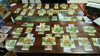 Forest Shuffle